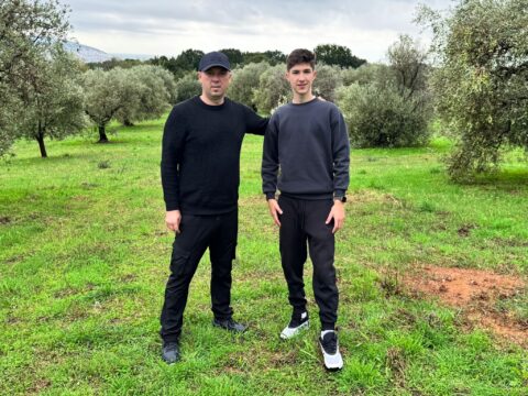 D’Olive: Prima livadă de măslini românească este, de astăzi, în Creta